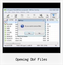 Export Dbf Txt opemimg dbf files