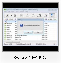 Edit Save Dbf File opening a dbf file