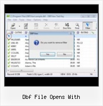 Accessing Dbf File dbf file opens with