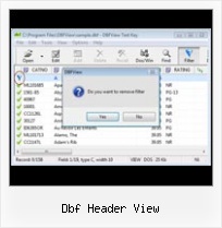 Conversion Dbf dbf header view