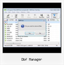 Dbf Files Conversion dbf manager