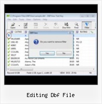 Excel To Dbf Conversions editing dbf file