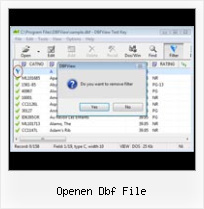 Dbf Viewer Editor openen dbf file