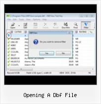 Dbf En Excel 2007 opening a dbf file