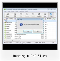 Convertire Excel In Dbf opening a dbf files