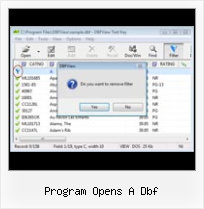 Excel 2007 Dbf Format Software program opens a dbf