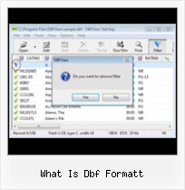 Importer Dbf Excel 2007 what is dbf formatt