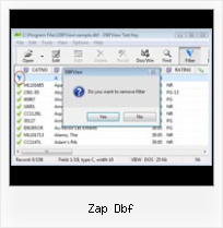 Free Dbf Viewer And Editor zap dbf